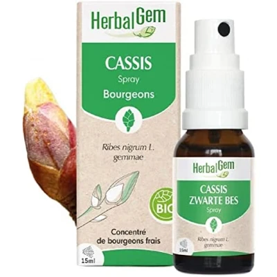 Image de Herbalgem Cassis Bio Complément Alimentaire Extrait De Bourgeon Frais Pour Articulations, 15 ml