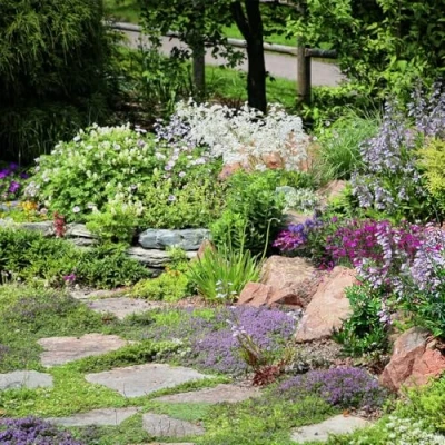 Image de Type M6 Mélange De Fleurs Joint Pavé 100 Grammes ±200 M² MRS Seeds &amp; Mixtures