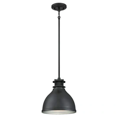 Image de Westinghouse Lighting Luminaire Suspendu d&#039;Intérieur à Une Lampe, Finition Détail Treillis, Verre, Nickel Brossé 6326840 Bronue À Canon Mat