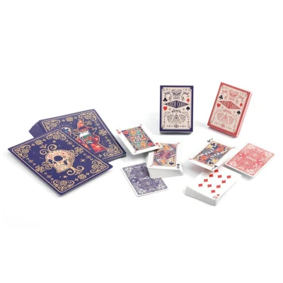 Image de Magic Cartum Magus 20 tours de magie Djeco
