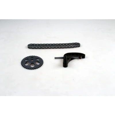 Image de Kit de chaînes, commade pompe à huile HEPU 21 0365