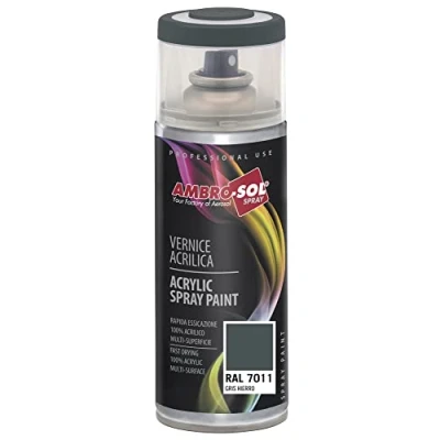 Image de Ambro Sol V4007011 Vernis Peinture Acrylique Multi Usage, Brillante pour Intérieur et Extérieur, Adapté a Tous Type de Matériau, Aérosol En Fer Blanc Recyclable 400 ml, Gris