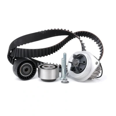 Image de INA 530 0119 30 pompe à eau + Kit De Distribution avec CITROËN: AX, Saxo 3/5 portes, Xsara 5 PEUGEOT: 106 I portes