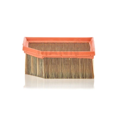 Image de MANN FILTER C 1995 Filtre à air 70 171 189, 139 Cartouche filtrante CITROËN: Berlingo / First I, I Van