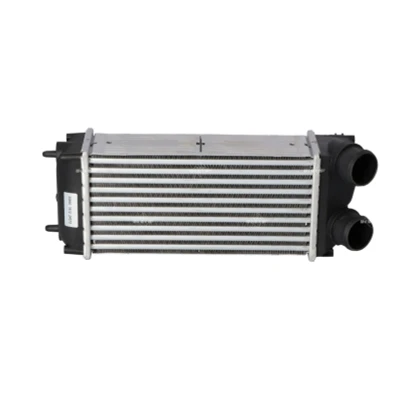 Image de NRF 30860 Intercooler PEUGEOT: 307 3/5 portes, SW, Break, CITROËN: C4 I Picasso 1, Grand