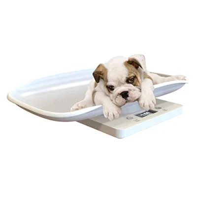 Image de Petyoung Pèse Animal Numérique Multifonction pour Mesurer Le Poids des Chiens Et Chats avec Précision Jusqu&#039;à 10 Kg Écran LCD Animaux de Compagnie Une Plate Forme Incurvée Confortable