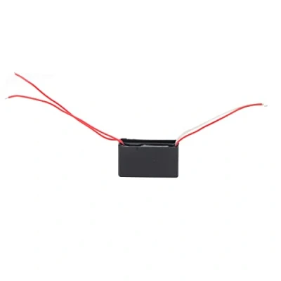 Image de Marhynchus DC3.7V 4.8V à 7000V Module Haute Tension Boost Generator Step Up pour Electronic Swatter