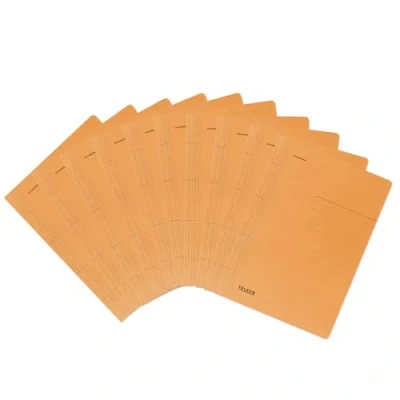 Image de Falken Réf. 80003791002F Carton de 100 chemises en carte à lamelle A4 Orange