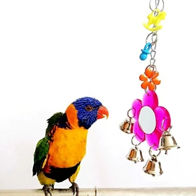Image de Jouet miroir pour perroquet, perruche, calopsitte, conure, pinson, inséparable, aras, gris du Gabon, amazon, cacatoès, clochette, fleur