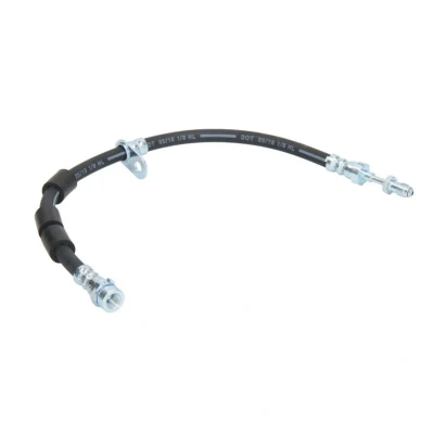 Image de DELPHI LH6995 Flexible De Frein 476 M10x1 Ext Tube nut