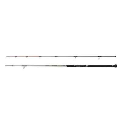 Image de PENN Canne à pêche Regiment IV Spin Pilk, pour la en Eau salée légère et Polyvalente, Argent, 3.04m, Rapide ambidextre