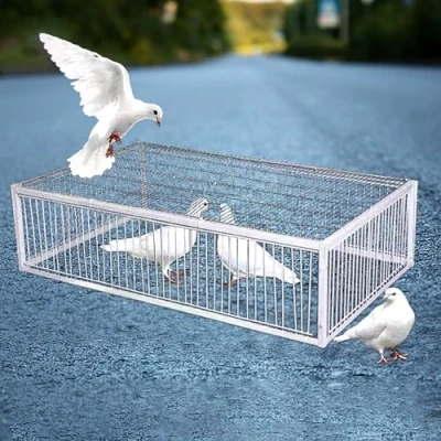 Image de Hoixin cage piège à Animaux Pigeons piege oiseau Capture corbeaux pigeon Avec 2 entrées sens unique et une lucarne Convient aux pigeons, perroquets, oiseaux(60x60x26c
