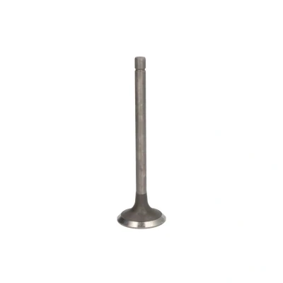 Image de FRECCIA R4233/RNT soupape d&#039;Échappement 37,5 Tige de nitrurée
