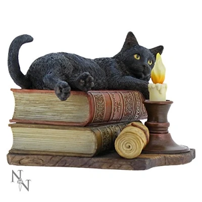 Image de Nemesis Now Witching Hour Figurine Lisa Parker en résine Marron 20,5 cm Fonte dans la Plus Fine Peinte à Main