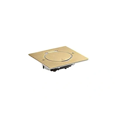 Image de Legrand 089710 Platine de Sol Carrée à Équiper Mécanisme Mosaic, 1 Poste, Doré