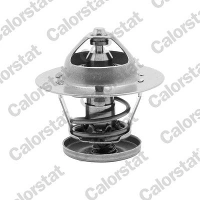 Image de Thermostat d&#039;eau CALORSTAT by Vernet TH6580.88J