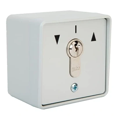 Image de geba Interrupteur à clé en plastique Montage saillie + encastré possible Demi cylindre profilé (non remplaçable) Panneau avant aluminium IP54 2 boutons Fonctionnement impulsion des