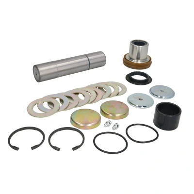 Image de FEBI BILSTEIN 170123 Kit d&#039;assemblage, pivot de fusée d&#039;essieu