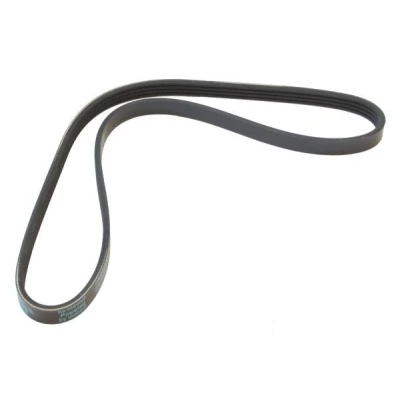 Image de MAPCO 240890 Courroie Poly V 890 4 BMW: 3 Berline, Coupe, Compact, MAZDA: MX 5 2, I, Demio Break, RENAULT: 25, 21 ESPACE 2