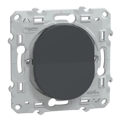 Image de Schneider Electric Ovalis interrupteur va et vient 10AX Anthracite S340204