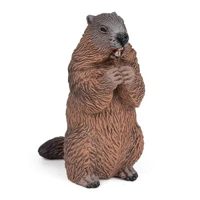 Image de Papo Figurine animal Marmotte, Curiosité de la Faune Montagnarde, Jouet enfant dès 3 Ans Sensibilisation à Vie Animale et Cycles Naturels