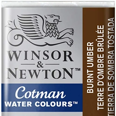 Image de Winsor &amp; Newton Cotman Aquarelle 1/2 Godet Terre D&#039;Ombre Brulée