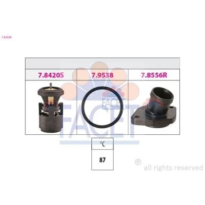 Image de Thermostat d&#039;eau FACET 7.8559K