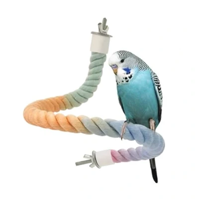 Image de corde à oiseaux, perchoir, en spirale, jouet, flexible, accessoire pour perroquets, calopsittes, conures, perruches, oiseaux d&#039;amour