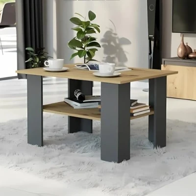 Image de Home Collective Artisan Mix table basse, de salon, canapé fonctionnelle avec étagère, 80 x 60 55 cm (l p h) Anthracite