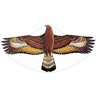 Image de GÜNTHER FLUGSPIELE Paul Günther 1146 cerf volant pour enfants avec motif d&#039;aigle royal, à une corde en film PE robuste, partir de 4 ans, taille env. 122 x 68 cm