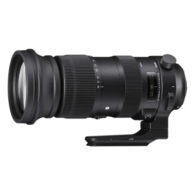 Image de Sigma 730955 Objectif 60600 mm f/4,56,3 AF S DG OS HSM Monture Nikon Noir