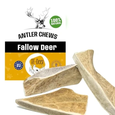 Image de RF Deer Bois de Daim XL, 81 120 g, 19 21 cm, Soft, 100% Naturel Bâtonnets Jouets à Mâcher pour Chiots et Chien, des os Le Plaisir Les Soins dentaires, favorisant l&#039;hygiène Dentaire