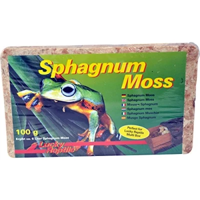 Image de Lucky Reptile Sphagnum Moss 100 g Brique de Mousse pour Terrarium Augmente l&#039;humidité l&#039;air Culture contrôlée orchidées &amp; broméliacées Accessoire Reptiles
