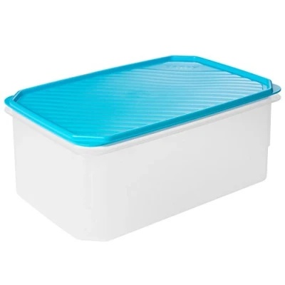 Image de TATAY Boîte Alimentaire, Hermétique, 4.7 L Capacité, Couvercle à pression flexible, sans BPA, passe au Micro ondes et Lave vaisselle, Bleue. Dimensions : 28,5 x 18,5 12,2 cm