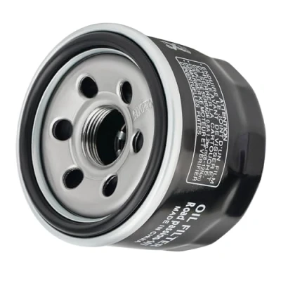 Image de Road Passion Filtre à huile pour YAMAHA XP500 T MAX 500 2001 2002 2003 2004 2005 2006 2007 2008 2009 2010 2011, FX10MT NYTRO MTX 998
