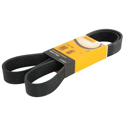 Image de CONTITECH 9PK1449 Courroie Poly V 1449 9 DAF: CF 85
