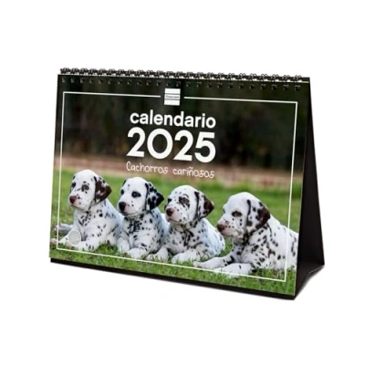 Image de Finocam Calendrier photo de bureau pour écrire 2025 mois vue janvier décembre (12 mois) chiots espagnol