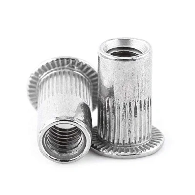 Image de Lot de 20pcs Ecrous Rivet Insert Filetage Métrique en Acier Inoxydable 304 (M6)