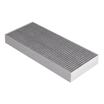 Image de AllSpares Filtre à charbon actif XBOGF pour four vapeur Bora x BO (410 176 49 mm)