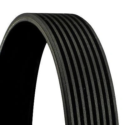 Image de CONTITECH 8PK2130 Courroie Poly V 2130 8 SCANIA: P,G,R,T series
