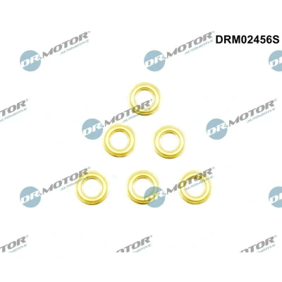 Image de DR.MOTOR AUTOMOTIVE DRM02456S Ecran absorbant la chaleur, injection RENAULT: CLIO 2, Kangoo I, I Express, BMW: 5 Berline, 3 Touring