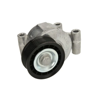 Image de GATES FleetRunner Micro V Kit T38318 Poulie Tendeur FORD: C Max, Focus 2, VOLVO: C30, V50, S40 II