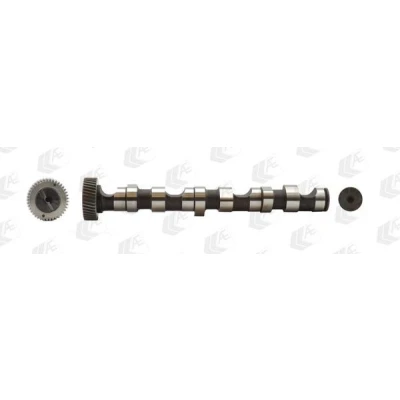 Image de AE CAM703 Arbre à Cames pour cylindres 1 3, Côté d&#039;échappement AUDI: A4 B6/B7 Cabriolet, A6 C5 Berline, B6 Avant, VOLKSWAGEN: Passat B5 GP Berline