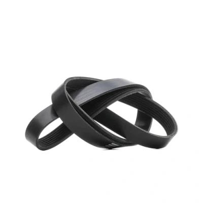 Image de RIDEX 305P0431 Courroie Poly V 1600 7 Polyester, EPDM (éthylène propylène diène caoutchouc) RENAULT: Clio 4, MEGANE 3, GRAND SCENIC 3