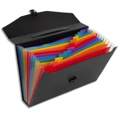 Image de VIQUEL Trieur horizontal RAINBOW 13 compartiments en polypropylène 8/10e, noir intérieur multicolore