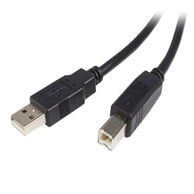 Image de StarTech.com Câble USB 2.0 A vers B de 2 m M/M Neuf