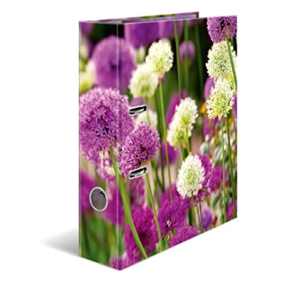 Image de HERMA Lot de 10 classeurs A4 à fleurs violettes 7 cm large Pour enfants avec motif plantes Classeur coloré impression intérieure garçons et filles