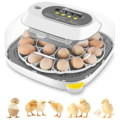 Image de Sailnovo Couveuse Oeuf Automatique 24 Oeufs, Couveuses Pour ufs de Volailles avec 4 Modes vue à 360, Incubateur Retournement des Oeufs et Contrôle la Température (Gris)