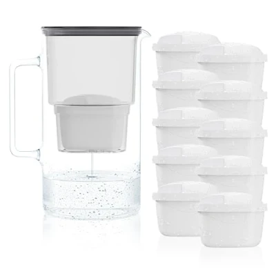 Image de Wessper Carafe Filtrante en Verre avec dix Filtres pour Carafes, Compatibles Brita Maxtra, Maxtra+, Grande capacité 2,5l, Kit + 10 cartouches Noir