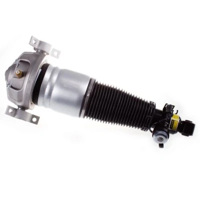 Image de Vérin DENCKERMANN DSA017G